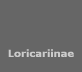 Loricariinae
